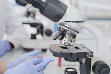 Laboratuvarda deney tüpleriyle çalışan iki genç bilim adamı...