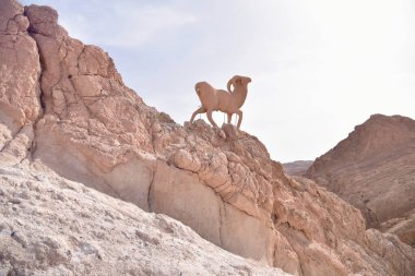 Chebika, Tn - Temmuz, 2019: Çebika Vahası 