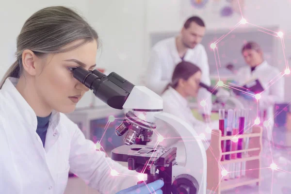 Group of young Laboratory scientists working at lab with test tu — Stock Photo, Image