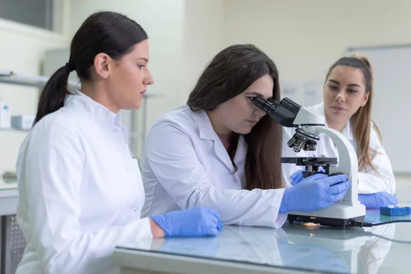 Groep Laboratoriumwetenschappers Die Het Lab Werken Met Reageerbuizen Testen Onderzoek Stockfoto