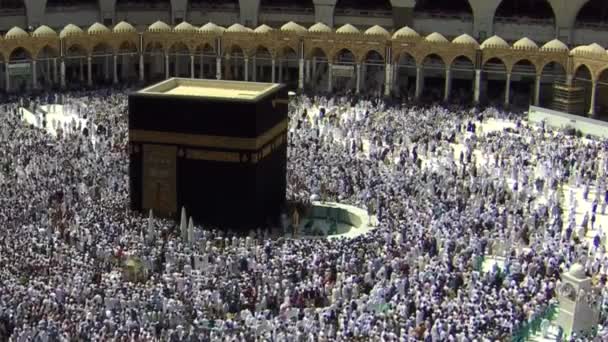 2019年8月8日 世界各地的朝圣者在Kaaba附近的Umrah或Hajj期间表演Tawaf — 图库视频影像