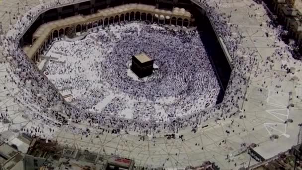 Mecca Saudi Arabia Agosto 2019 Pellegrini Tutto Mondo Esibiscono Tawaf — Video Stock