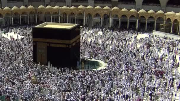 2019年8月8日 世界各地的朝圣者在Kaaba附近的Umrah或Hajj期间表演Tawaf — 图库视频影像