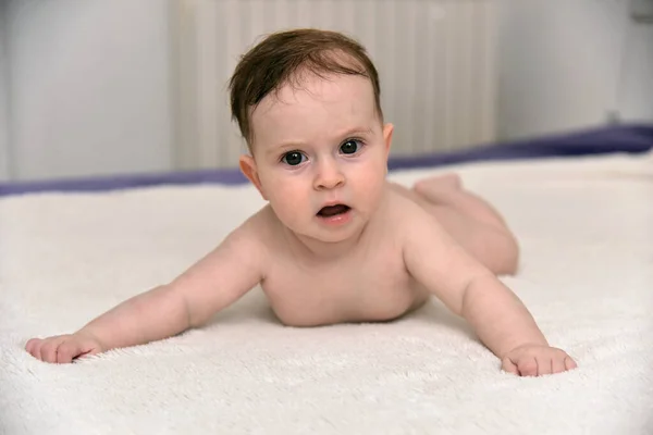 白底快乐三个月大的女婴 小女孩躺在白色背景的肚子上 — 图库照片