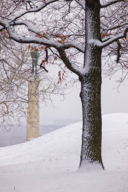  ağaçların altında kar parkta, Not alan sığ derinliği