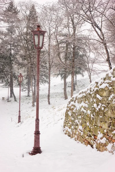 Immergrüne Bäume Unter Dem Schnee Park Beachten Sie Die Geringe — Stockfoto