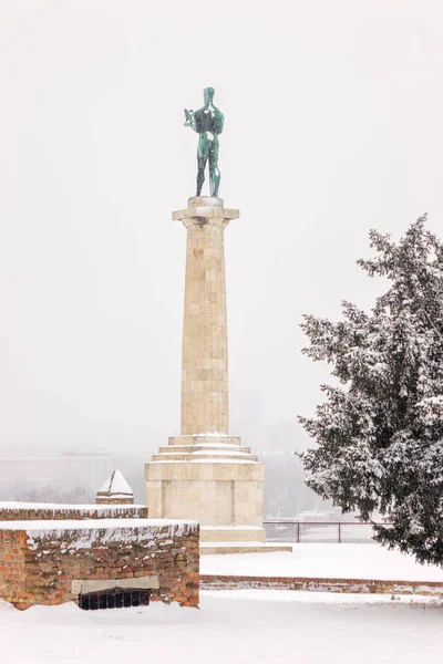 Widok Pomnika Belgradzie Victor Pod Śniegiem Uwaga Płytkiej Głębi Ostrości — Zdjęcie stockowe