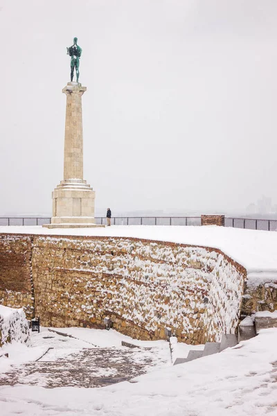 Widok Pomnika Belgradzie Victor Pod Śniegiem Uwaga Płytkiej Głębi Ostrości — Zdjęcie stockowe