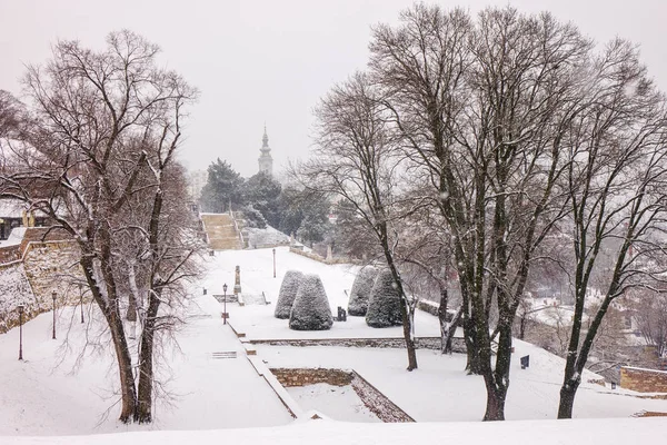 Park Snow Belgrade Note Shallow Depth Field — Stock Photo, Image