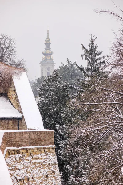 Starej Twierdzy Belgrad Pod Śniegiem Uwaga Płytkiej Głębi Ostrości — Zdjęcie stockowe