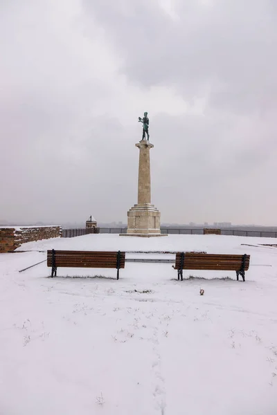 Widok Pomnika Belgradzie Victor Pod Śniegiem — Zdjęcie stockowe