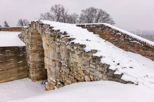 Park Unter Schnee Belgrad — Stockfoto