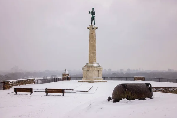 Widok Pomnika Belgradzie Victor Pod Śniegiem — Zdjęcie stockowe