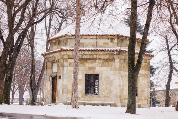 Park Pod Śniegiem Belgradzie Uwaga Płytkiej Głębi Ostrości — Zdjęcie stockowe