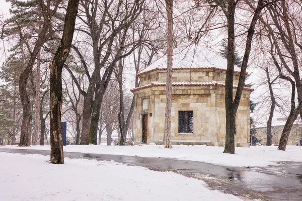 Park Pod Śniegiem Belgradzie Uwaga Płytkiej Głębi Ostrości — Zdjęcie stockowe