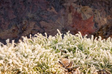 Kış ortamda küçük bir dere