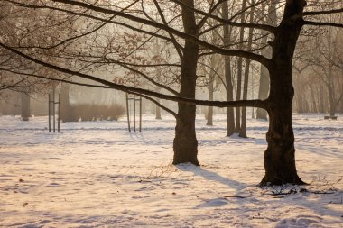  ağaçların altında kar parkta, Not alan sığ derinliği