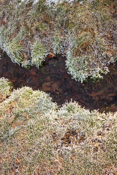 Ένα Μικρό Ρέμα Περιβάλλον Χειμώνα — Φωτογραφία Αρχείου