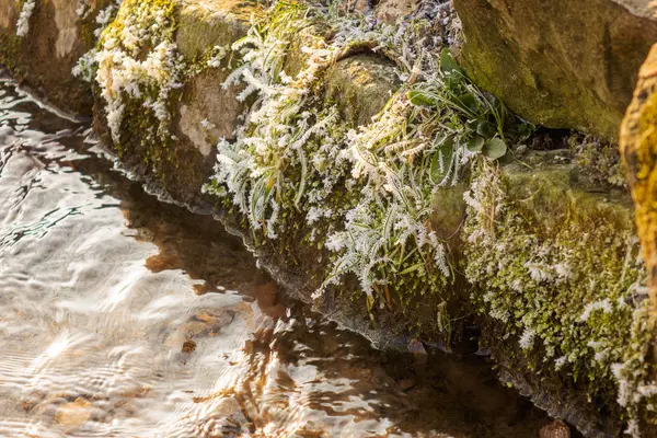 Ein Kleiner Bach Der Winterlichen Umgebung — Stockfoto