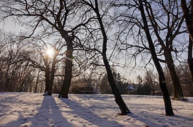 Güneşli bir günde, Not alan sığ derinliği kar altında orman