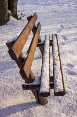 karla kaplı park Bench 