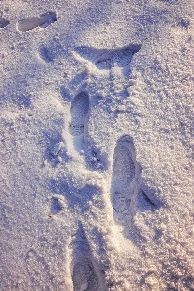 Ein Fußabdruck Schnee Als Hintergrund — Stockfoto