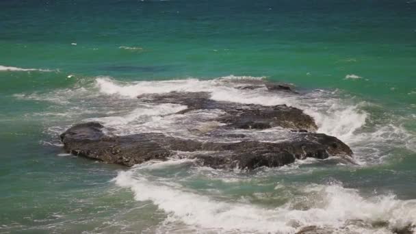 岩の上で波がクラッシュし ゆっくりと動き — ストック動画