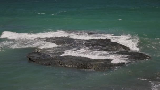 岩の上で波がクラッシュし ゆっくりと動き — ストック動画