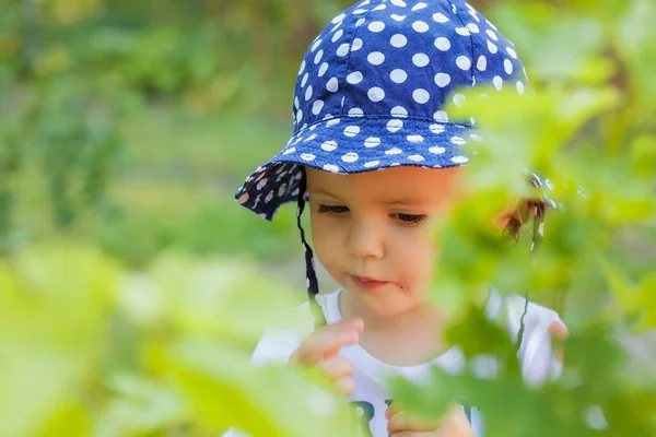 Kind Mit Hut Punktiert Zwischen Den Blättern Mit Unscharfem Hintergrund — Stockfoto