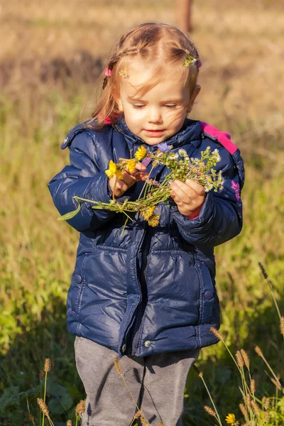 Kind Mit Blumen Der Hand Auf Dem Feld Beachten Sie — Stockfoto