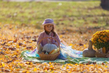 Mor şapkalı, sonbahar dekorasyonlu mor elbiseli küçük kız.