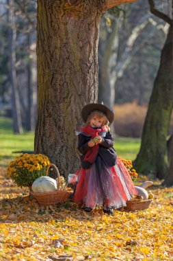 Etrafında sonbahar süslemeleri olan cadı gibi giyinmiş küçük bir kız.