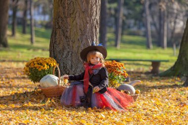 Etrafında sonbahar süslemeleri olan cadı gibi giyinmiş küçük bir kız.