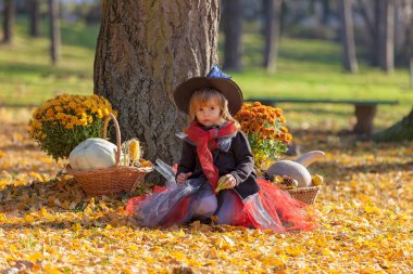 Etrafında sonbahar süslemeleri olan cadı gibi giyinmiş küçük bir kız.