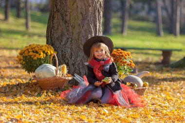 Etrafında sonbahar süslemeleri olan cadı gibi giyinmiş küçük bir kız.