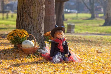 Etrafında sonbahar süslemeleri olan cadı gibi giyinmiş küçük bir kız.