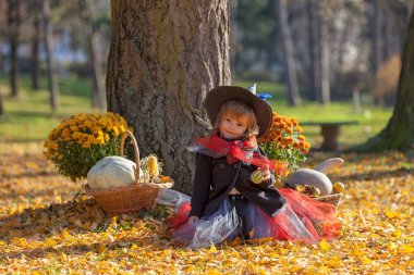 Etrafında sonbahar süslemeleri olan cadı gibi giyinmiş küçük bir kız.