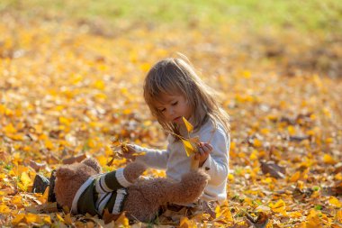 Küçük kız ayısıyla sonbahar yapraklarında oturuyor.
