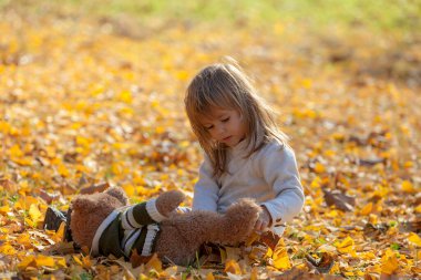 Küçük kız ayısıyla sonbahar yapraklarında oturuyor.