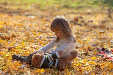 Küçük kız ayısıyla sonbahar yapraklarında oturuyor.