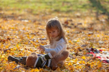 Küçük kız ayısıyla sonbahar yapraklarında oturuyor.