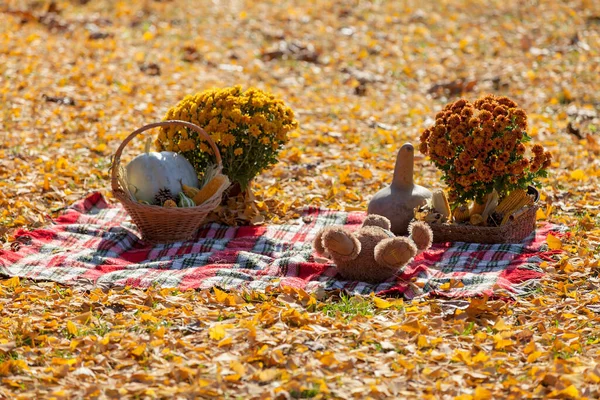 Korb Mit Herbstdetails Auf Der Decke — Stockfoto