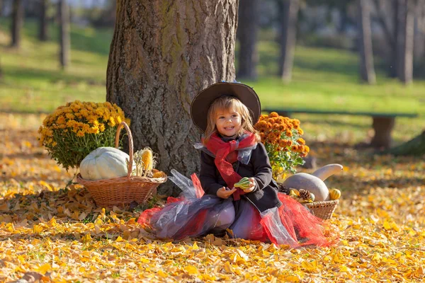 Etrafında sonbahar süslemeleri olan cadı gibi giyinmiş küçük bir kız.