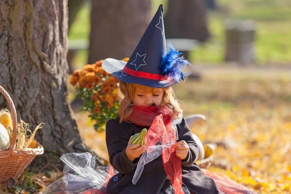 一个穿得像巫婆的小女孩 周围都是秋天的装饰品 — 图库照片