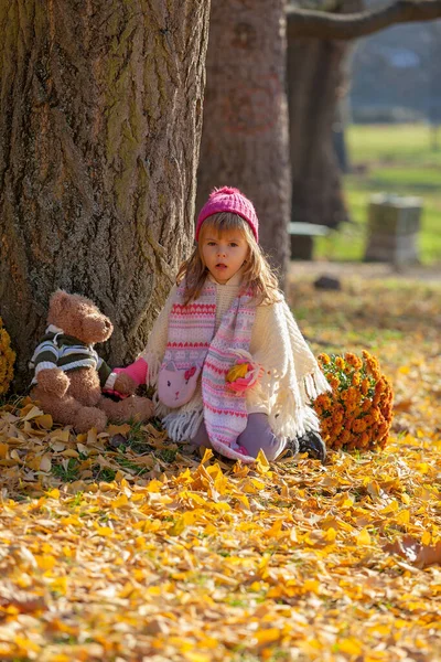 Niña Con Oso Bosque Otoño Sentada Frente Bosque — Foto de Stock