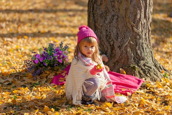 一个穿着鲜艳颜色的小女孩坐在秋天的布景中 — 图库照片