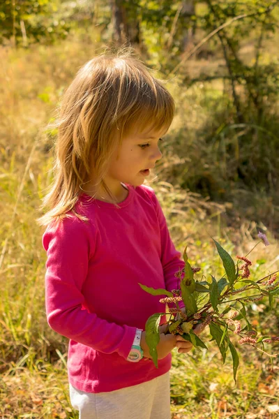 Little Girl Picking Flowers Grass — Stock Photo, Image