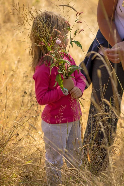 Little Girl Picking Flowers Grass — Stock Photo, Image