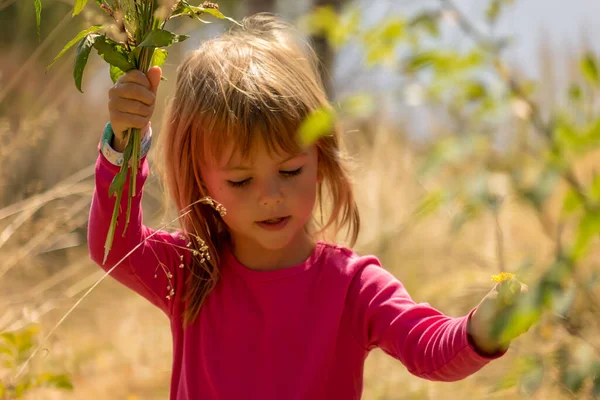 Kleines Mädchen Pflückt Eine Blume Gras — Stockfoto