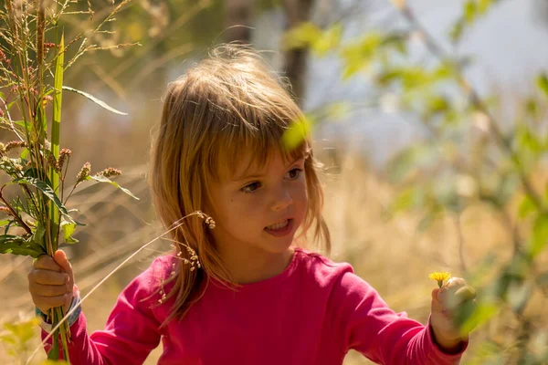 Kleines Mädchen Pflückt Eine Blume Gras — Stockfoto